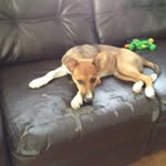 Wesley Yoder - @wesley.yoder - Instagram