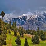Zubair Wesal - Facebook