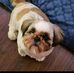 Wesley Alice - Facebook