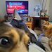 Wesley Allred - Facebook