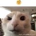 Wesley Amspaugh - Facebook