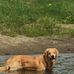 Wes Altman - Facebook