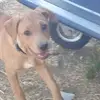 Wesley Hammons - @wesley.hammons - TikTok