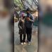 Amos Wesley - Facebook