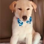 Wesley anderson - @wesley_anderson1234 - Instagram