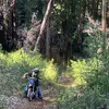 Wesley_ - @wesleycarrington09 - TikTok