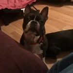 Wesley Atkins - @atkins.wesley - Instagram