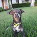 Wesley Baggett Jr. - Facebook