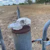Wesley Bagley - @wesley.bagley - TikTok