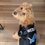 Wesley Cojei-Bain - @wesley_tshgd - Instagram