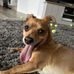 Wesley Baker - Facebook