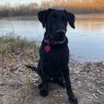 Wesleybarfield - @wesleybarfield - Instagram