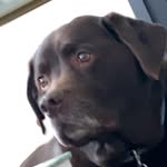 Wesley Barlow - @wessquakes - Instagram