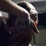 Wesley Barnard Jr. - @caredbynooneusedbyall - Instagram