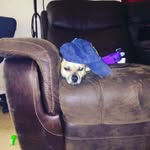 Wesley Barrow - @wesleybarr2 - Instagram