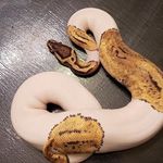 Wesley Bean - @wesley.bean.3785 - Instagram