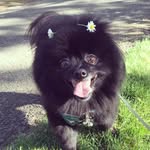 🐻Wesley Bear🐻 - @wesleythebear - Instagram