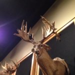 Wesley Beaver - @danville13 - Instagram
