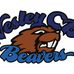 Wesley CBC  Beavers - Facebook