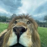 Wesley Belanger - @wesbegood01 - Instagram