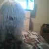wesleybender5 - @wesley.bender - TikTok