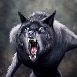 Wesleybenoit - @wesleybenoit52 - Instagram