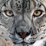 Wesley Ravensbergen - @ravensbergenwesley - Instagram