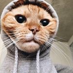 wesley betts - @gorillaking56 - Instagram