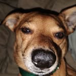 Wesley Betts - @theduckstwr - Instagram