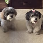 @wesleybillingslea - Instagram