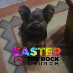 Wesley Blevins - @wesleylee1946 - Instagram