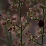 Wesley Blevins - @w.b_photography - Instagram