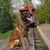 Wesley Boisvert - Facebook