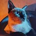 Wesley Borja - Facebook