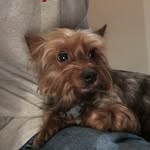 Wesley Jazzy Bowen - @jazzywes22 - Instagram