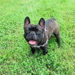 Wesley Bridges - @esaconsultantny - Instagram