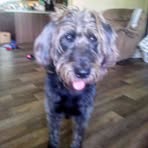 Wesley Bridges - Facebook
