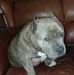 Wesley Bright - Facebook