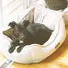 wesley bruce - @wesley.bruce - TikTok