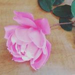 Wesley J Burris - @in_a_photograph - Instagram