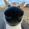wesleyburris433 - @wesleyburris433 - TikTok