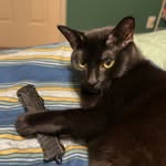 Wesley Cain - @wesley.cain - Instagram
