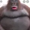 Wesley - @wesleycarman - TikTok