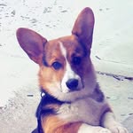 @sir_wesleycarmichael - Instagram