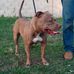 Wesley Castro - Facebook