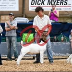 Wesley Coleman - @wespuppy4 - Instagram