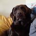 Wesley Crowe - Facebook