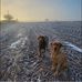 Wesley Cummins - Facebook