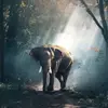 Wesley Dodson - @wesleydodson2268 - TikTok