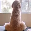 Wesley - @dove.wesley - TikTok